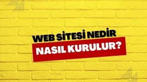 web sitesi nedir nasıl kurulur